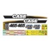 CASE 465