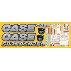 CASE SR250